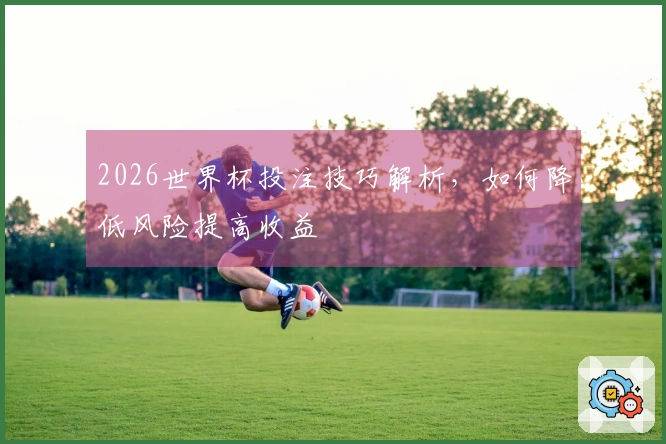 2026世界杯投注技巧解析，如何降低风险提高收益