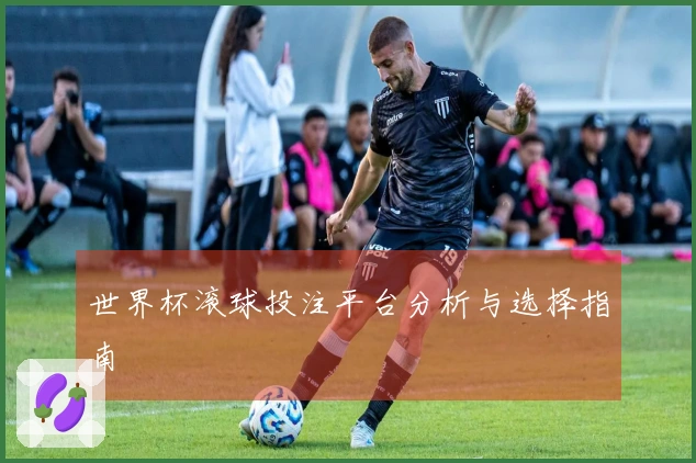 世界杯滚球投注平台分析与选择指南