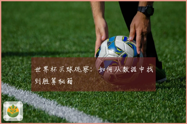 世界杯买球观察：如何从数据中找到胜算秘籍