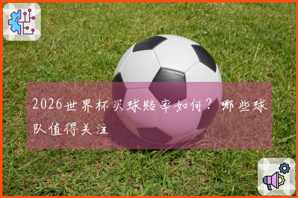 2026世界杯买球赔率如何？哪些球队值得关注