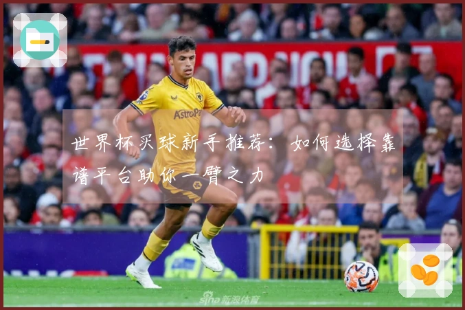 世界杯买球新手推荐：如何选择靠谱平台助你一臂之力