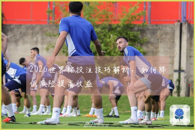 2026世界杯投注技巧解析，如何降低风险提高收益