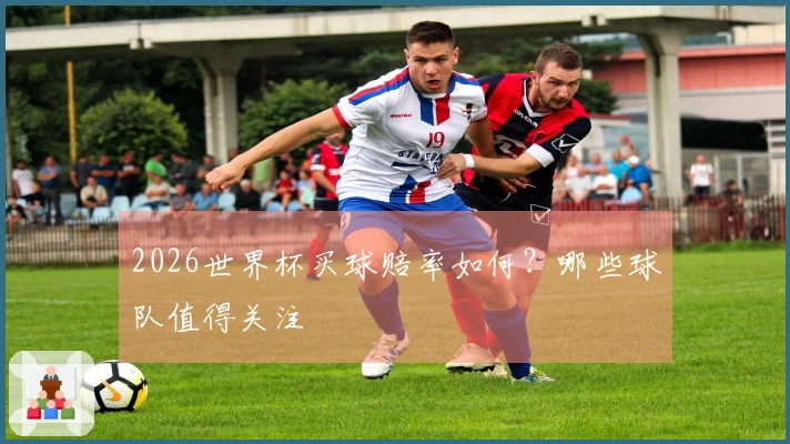 2026世界杯买球赔率如何？哪些球队值得关注