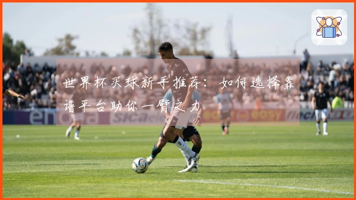 世界杯买球新手推荐：如何选择靠谱平台助你一臂之力